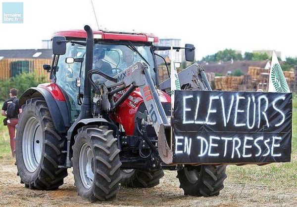 Crise agricole : tribune des évêques de la province de Rennes