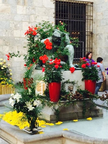 entre noël, fête des fleurs et lendemain de cuite : le patio de la mairie de Perpignan