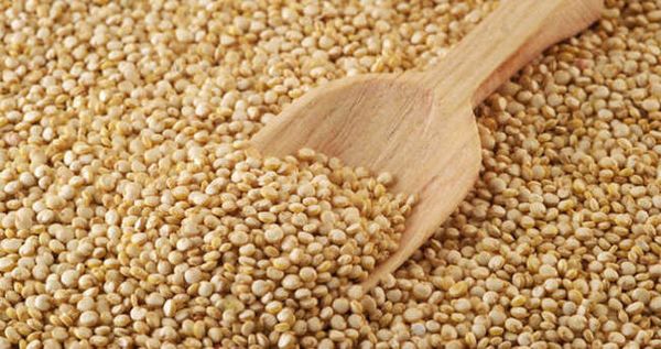 Le quinoa: au shaker pas à la cuillère !