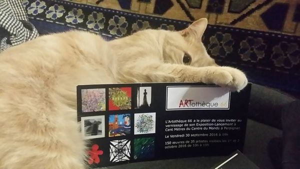 Perpignan: l'arthotéque au centre d'art à cent mètres du centre du monde! interview Evina Loos par Nicolas Caudeville
