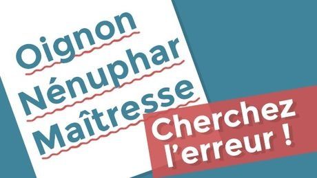 «Ognon», «nénufar», accent circonflexe: la réforme surprise de l'orthographe