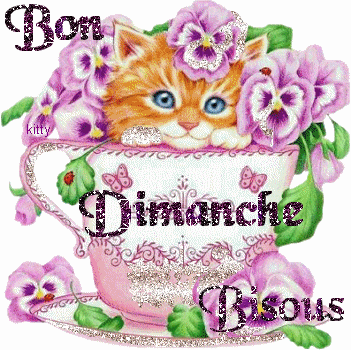 bon dimanche