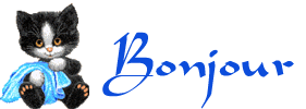 bonjour
