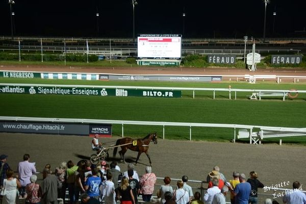 HIPPODROME CÔTE D’AZUR 2014 – 2015 MEETING D’HIVER