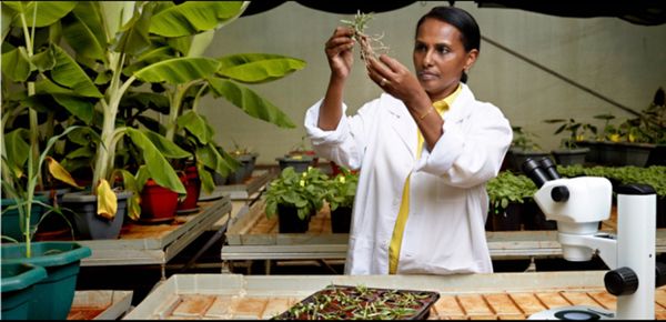 Les femmes et la science Palais de l’Europe – 8 mars 2015 - 11h