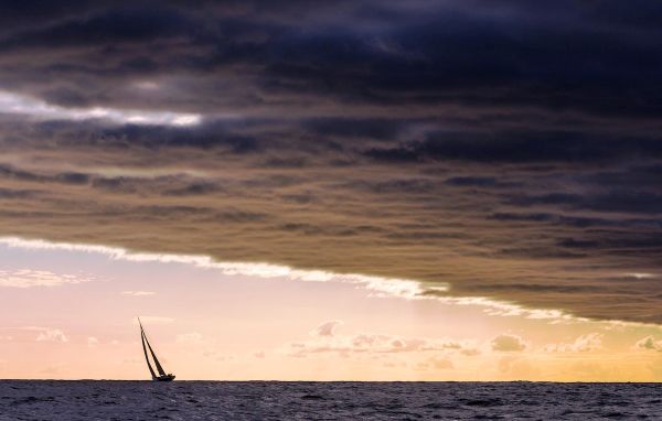 YCM NEWS - Rolex Sydney-Hobart Yacht Race 2015 : Victoire de Comanche