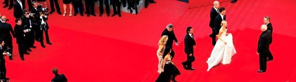 Non vi sarà alcun film italiano in gara per la Palma d'oro al Festival di Cannes