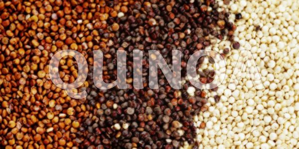 Nấu hạt quinoa như thế nào / How to cook quinoa?