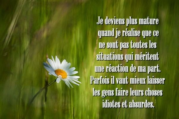 maturité