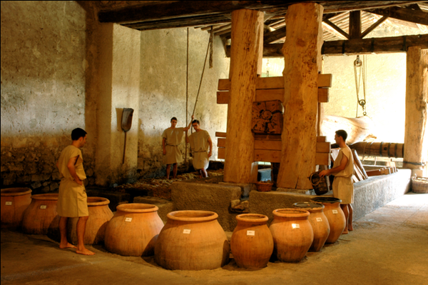 Documentaire "sur nos traces" : le vigneron gallo -romain