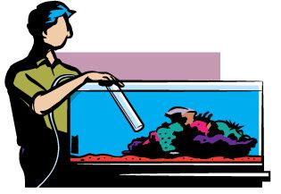 Hiring Fish Tank Maintenance Service Is Not A Bad Idea?