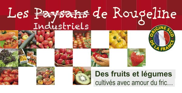C'est la pleine saison des tomates, du moins des vraies, pour les pétro-tomates c'est toute l'année?