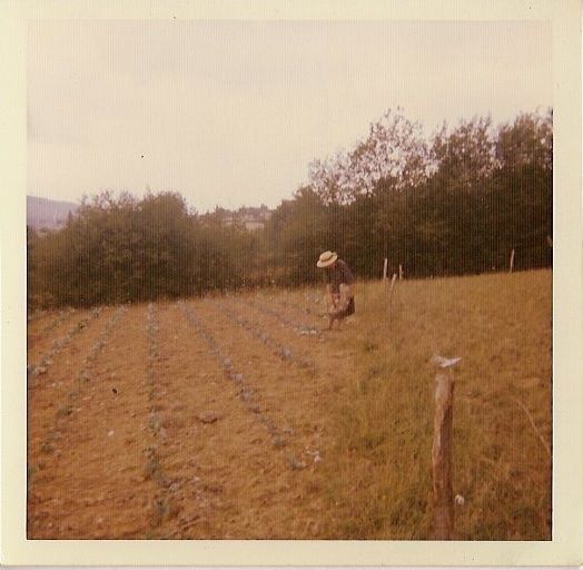Sur les chemins d'une nuit d'été