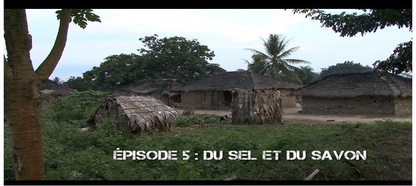 Des forêts en sursis # 5 : Du sel et du savon
