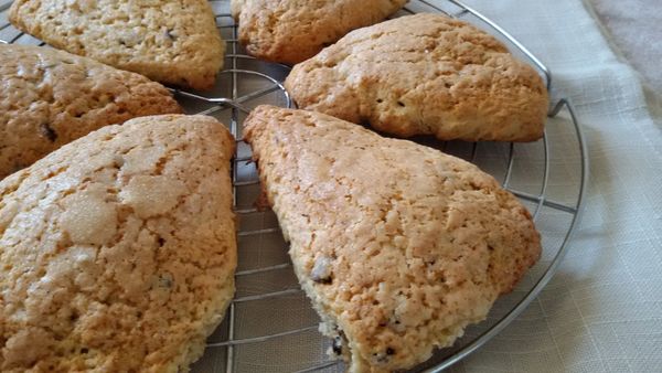 Scones aux pépites de chocolat