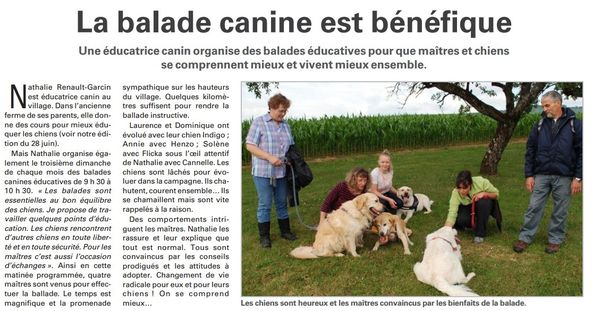 La balade canine est bénéfique