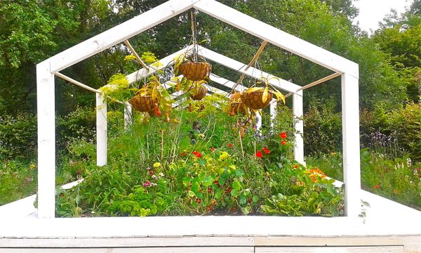 Botanical zoom sur la permaculture