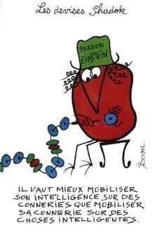 Miliette, just for you