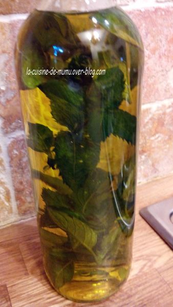 l'huile d'olive au basilic et à la menthe