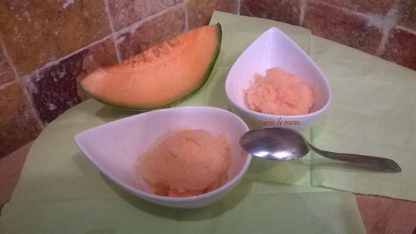 Sorbet au melon
