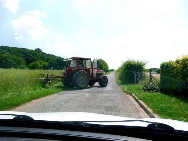 300 chevaux de course sur une petite route