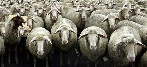 La France peut faire faillite mais pas pour les raisons que l’on croit