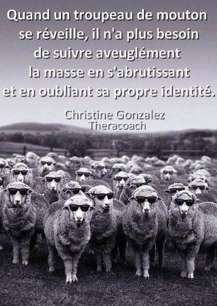 Il est temps de bouger ! - janvier 2015