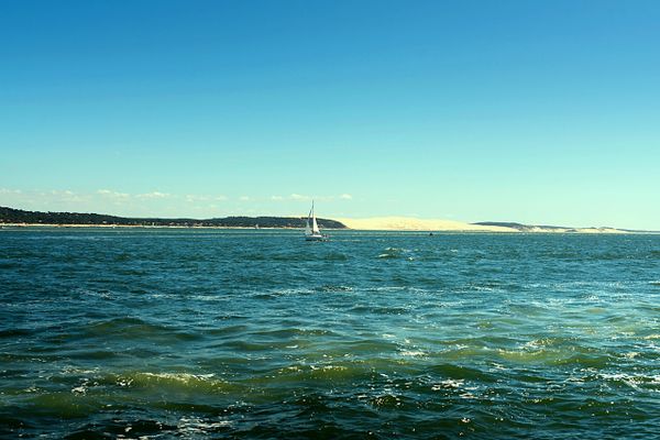 La Dune du Pyla, entre océan et forêt