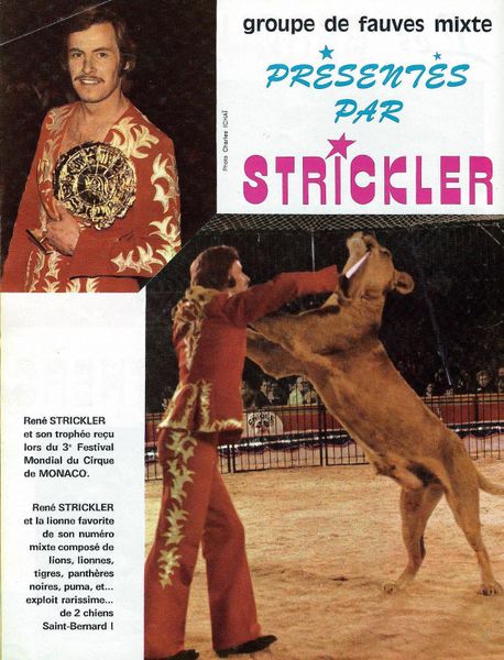 René Strickler, de la banque à la cage aux fauves