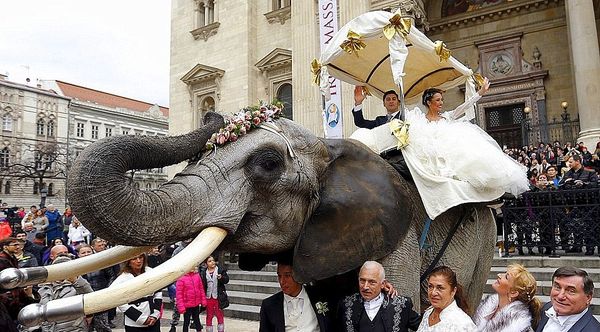 Carnet Blanc à Budapest pour la saint Valentin
