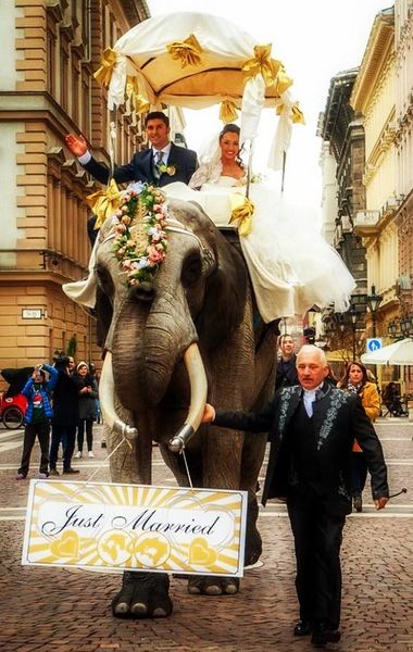 Carnet Blanc à Budapest pour la saint Valentin