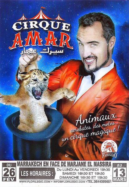 Le cirque Amar ressuscite au Maroc