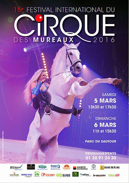 XV° Festival International du cirque des Mureaux