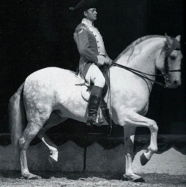 Patrick Gruss, le gardien de la tradition en l'Art Equestre