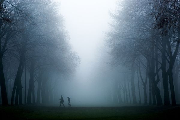 Raphaël Rippe : Montgeron sous le brouillard