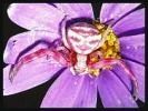 Araignée Crabe Thomise