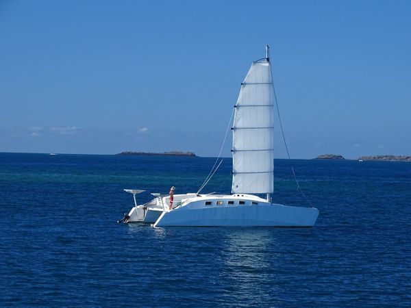 La mangue bleue