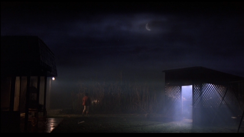E. T. the extra-terrestrial (Steven Spielberg, 1982)