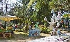 Un printemps sous les arbres