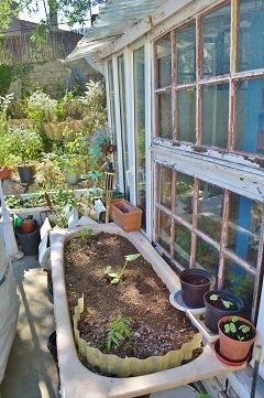Le coin jardin de TERRA