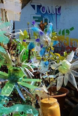 Le coin jardin de TERRA