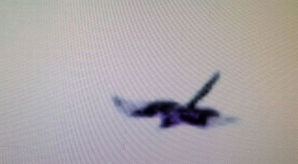 PHOTO DE DRAGON VOLANT EN ALASKA