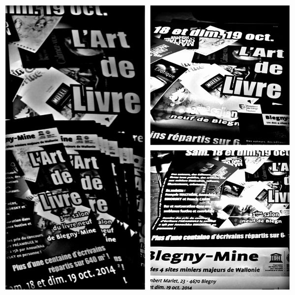Salon du livre de Blégny-Mine.