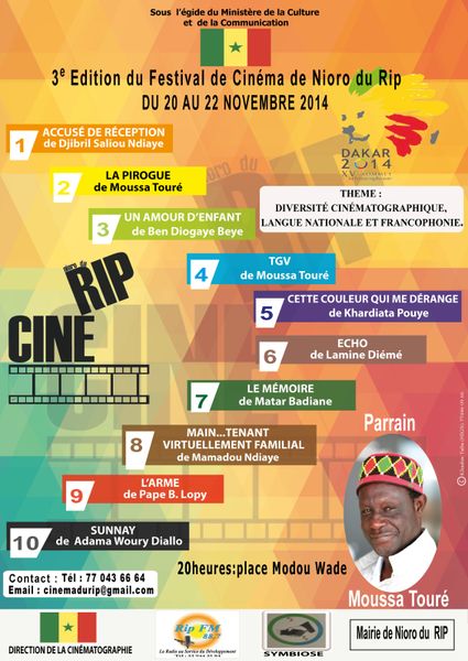 CINEMA : Ciné-Rip à Nioro, du 20 au 22 novembre 2014