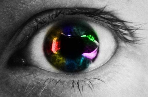 Le plancton de nos yeux ?