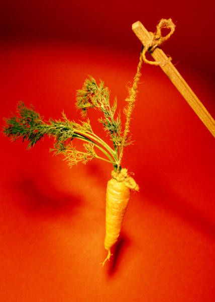 Dans la course, les carottes ça ne rend plus aimables