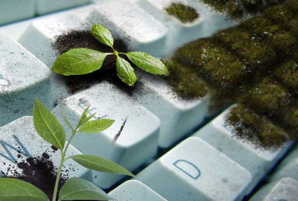 Les crimes contre l’environnement source de vie pour l'espèce humaine ?