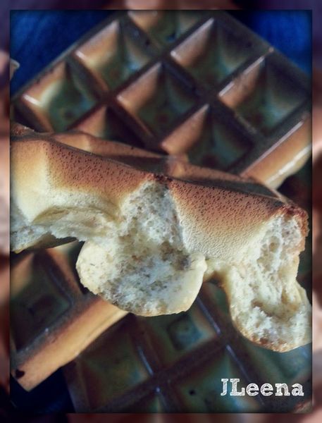 Gauffres sans farine / sans sucre (Dukan OK)