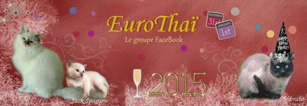 Bonne année 2015