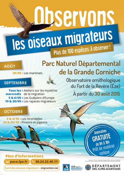 Cinq rendez-vous d'observation avec la LPO